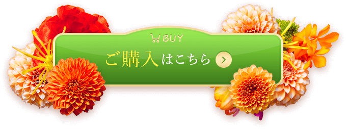 meemoラクラクコース購入ボタン