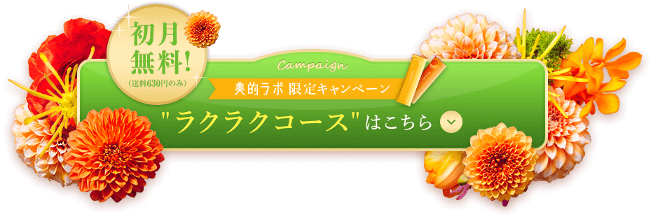お得ならくらくコースはこちら